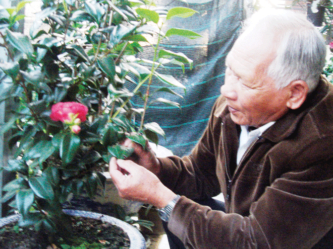 Thủy tổ nghề trồng rau Đà Lạt là ai? ảnh 1