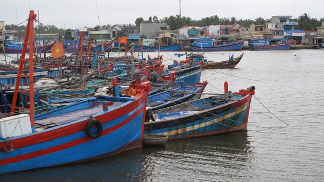 Bơm vốn khai thác hải sản: Địa phương, ngư dân...sốt ruột! ảnh 2