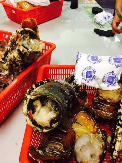 Bắt giữ nhiều lô hàng lậu qua sân bay Tân Sơn Nhất ảnh 2