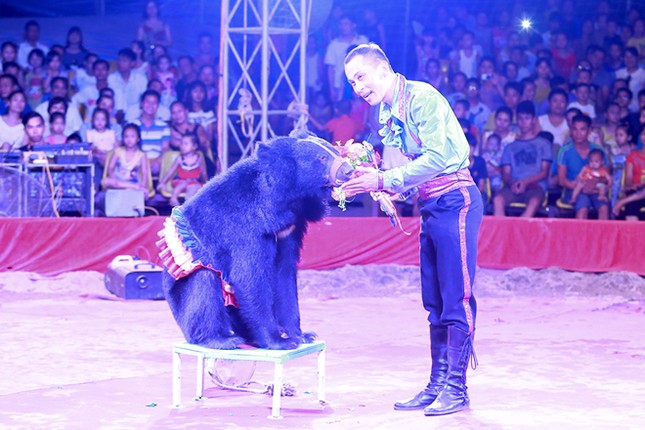 Khán giả thị xã Sơn Tây ùn ùn đội mưa đi xem xiếc lưu động ảnh 9
