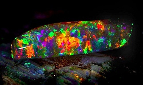 Đá quý vân gấu trúc được định giá 23,6 triệu USD ảnh 1