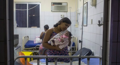 'Em bé Zika', nạn nhân của virus teo não do muỗi truyền ảnh 1
