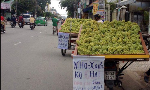 Những loại trái cây Trung Quốc đội lốt hàng Việt ảnh 1