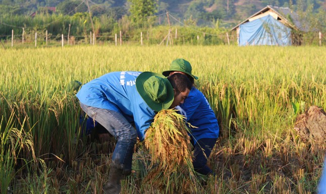 Gặp gỡ chàng trai đa tài của trường Đại học Luật ảnh 2