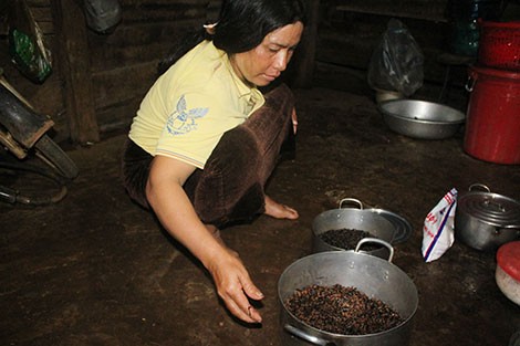 Đi săn đặc sản trong lòng đất ảnh 5