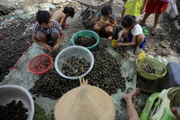 Lớp học giữa Sài Gòn không biết “mùi học thêm“ ảnh 12