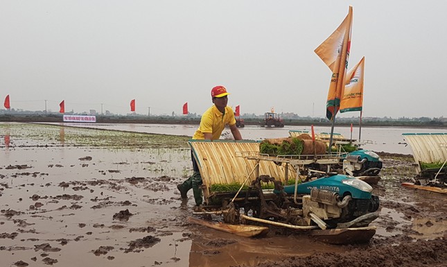 Xuống đồng cùng 'Hạt ngọc trời' ảnh 3