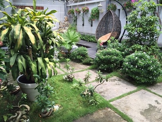 Cận cảnh nhà vườn 300m2 của Cao Thái Sơn ảnh 7