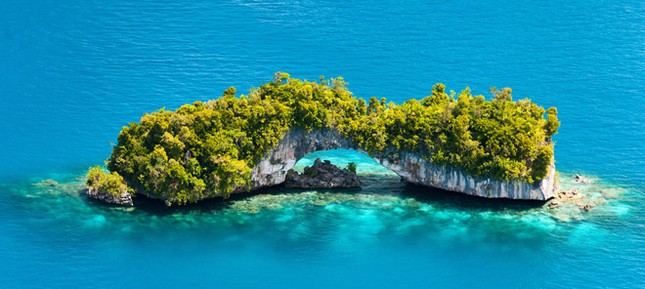 Một công dân Việt Nam trở thành Tổng lãnh sự danh dự của Palau ảnh 1