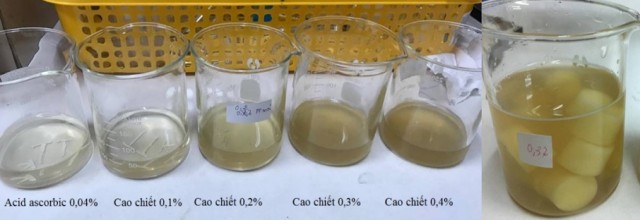 Hai học sinh lớp 11 tạo ra chế phẩm bảo quản rau củ quả từ vỏ chuối xanh ảnh 3