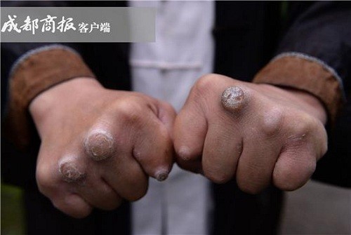 Chưởng môn phái Thanh Thành muốn thanh lọc võ lâm Trung Quốc ảnh 2