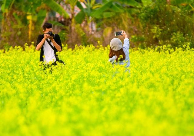 Những địa điểm chụp hoa cải đẹp tại Hà Nội giới trẻ phải biết ảnh 6
