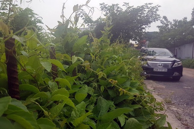 Kiểm tra bãi xe lậu trên khu đất 10.000m2 giữa Thủ đô ảnh 6