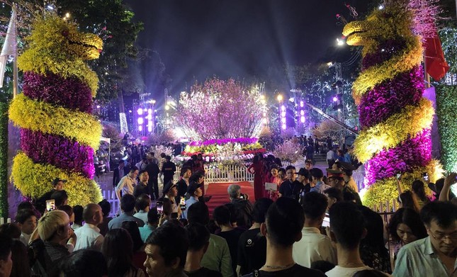Khai mạc lễ hội hoa anh đào Nhật Bản – Hà Nội 2019 ảnh 1