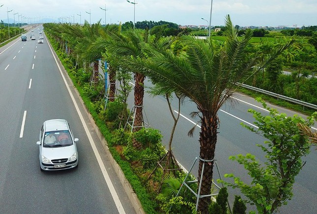 Hà Nội xin cơ chế đặc thù trồng 600 nghìn cây xanh không qua đấu giá ảnh 1