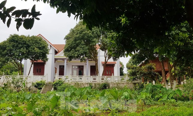 Lại tái diễn tình trạng ‘xẻ núi bạt đồi’ xây biệt thự ở Ba Vì ảnh 1