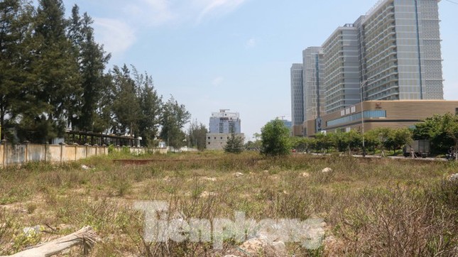 Bộ TN-MT lên tiếng việc người Trung Quốc sở hữu đất ở Đà Nẵng ảnh 1