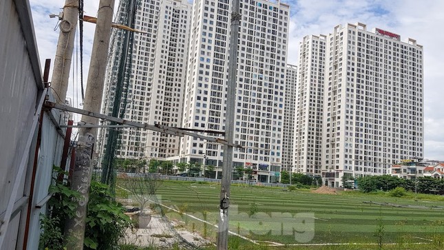Hà Nội truy thu 35 tỷ đồng doanh nghiệp sử dụng đất sai mục đích ảnh 2