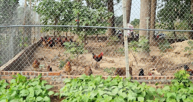 Cuối năm, 'cò đất' thi nhau thổi giá loạt dự án 'đắp chiếu' phía Tây Hà Nội ảnh 4