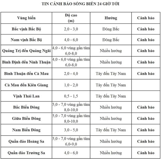 Bão số 9 áp sát, Quảng Ngãi mưa lớn, gió rít từng hồi ảnh 16