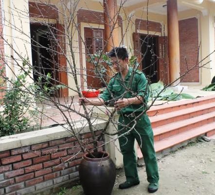 Gói bánh chưng dâng cúng Đại tướng tại Vũng Chùa - Đảo Yến ảnh 2