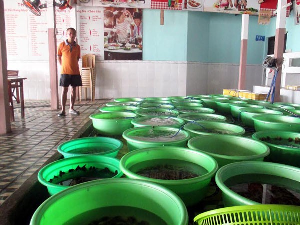 Nhà hàng đìu hiu, tiểu thương bỏ chợ vì thông tin cá chết ảnh 1