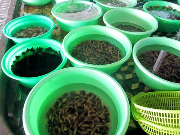 Nhà hàng đìu hiu, tiểu thương bỏ chợ vì thông tin cá chết ảnh 2
