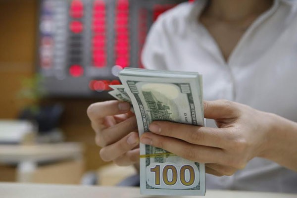 Kinh tế Việt Nam vượt khỏi vòng nguy hiểm ảnh 1