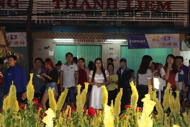 8 vạn chậu hoa và cây trái ở 'Đường hoa' Cần Thơ ảnh 3