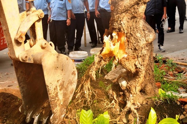Quận 1 tháo dỡ vọng gác công an, cắt xích rào của Ngân hàng Nhà nước ảnh 12