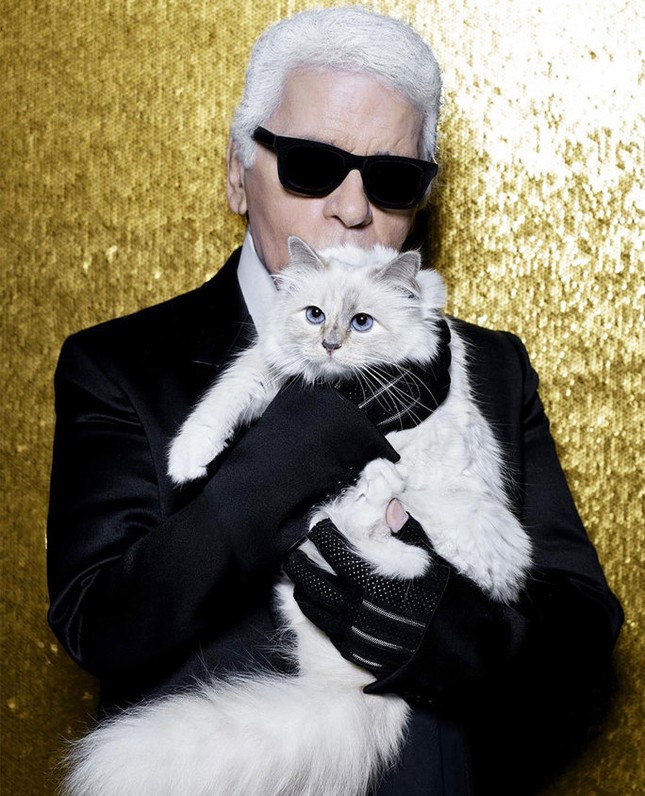 'Cô mèo' và những ai sẽ được hưởng tài sản của Karl Lagerfeld? ảnh 1