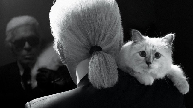 'Cô mèo' và những ai sẽ được hưởng tài sản của Karl Lagerfeld? ảnh 3