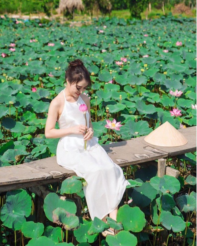 Kèn hồng và những mùa hoa rực rỡ ở TP.HCM ảnh 16