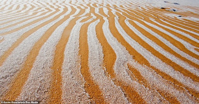 Ngỡ ngàng bộ ảnh tuyết phủ sa mạc Sahara đẹp như mơ ảnh 4
