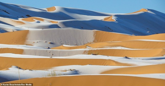 Ngỡ ngàng bộ ảnh tuyết phủ sa mạc Sahara đẹp như mơ ảnh 5
