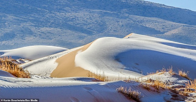 Ngỡ ngàng bộ ảnh tuyết phủ sa mạc Sahara đẹp như mơ ảnh 6