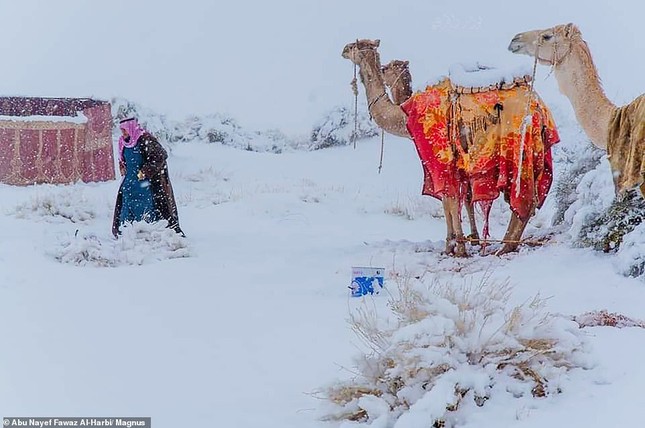 Ngỡ ngàng bộ ảnh tuyết phủ sa mạc Sahara đẹp như mơ ảnh 8