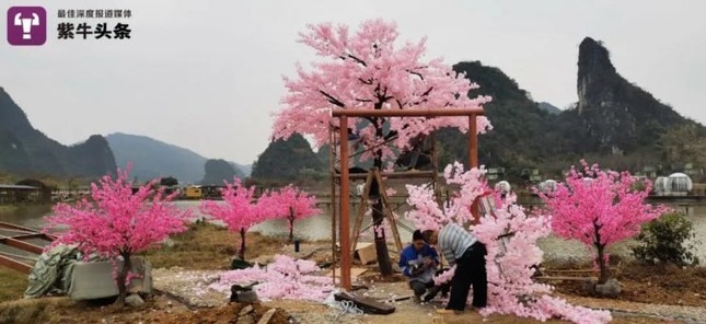 Chàng trai xây ‘đảo tình yêu’ cho bạn gái cũ, không ngờ thành điểm du lịch hút khách ảnh 4