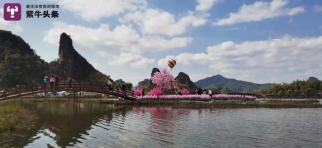 Chàng trai xây ‘đảo tình yêu’ cho bạn gái cũ, không ngờ thành điểm du lịch hút khách ảnh 2