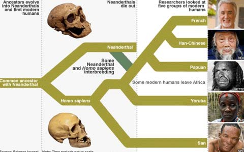 Những phát hiện xác định nguồn gốc loài người ảnh 8