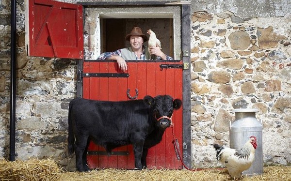 Chú bò thấp nhất thế giới có chiều cao vỏn vẹn 76,2cm (đo từ móng tới vai). Đó là Archie, 16 tháng tuổi, thuộc giống bò tót Dexter, ở hạt Antrim, Bắc Ireland
