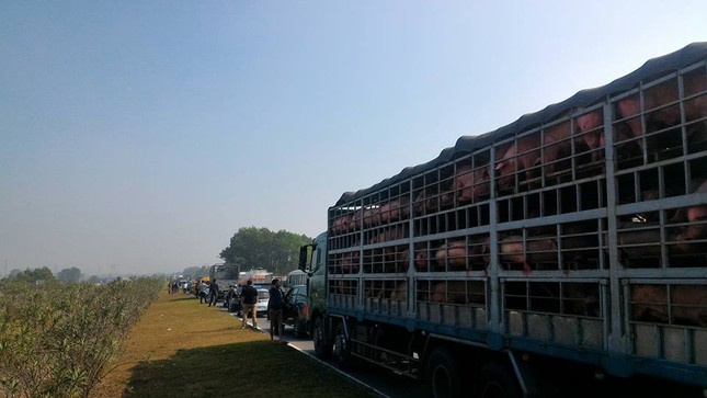Lật xe tải, cao tốc Hà Nội - Thái Nguyên ùn gần 10km ảnh 1