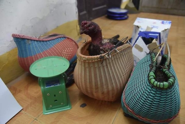 Bắt quả tang hàng chục đối tượng đánh bạc dưới hình thức ‘đá gà’ ảnh 1