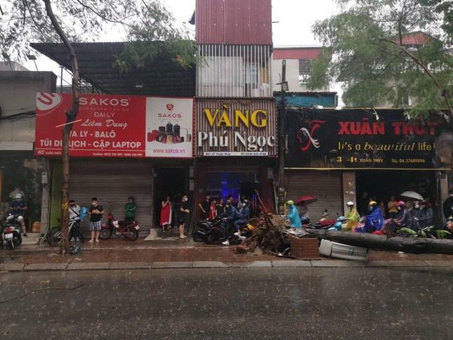 Hà Nội mưa to gió lớn, cây xanh bật gốc đổ trúng người đi xe máy ảnh 2