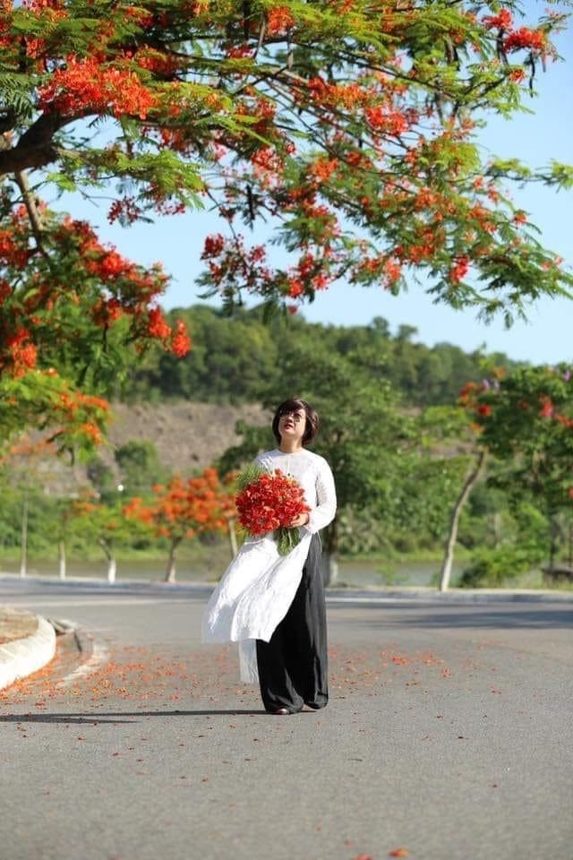 Rực rỡ con đường hoa phượng ở Hải Phòng: Chụp vội cũng có ảnh check-in tuyệt đẹp ảnh 3