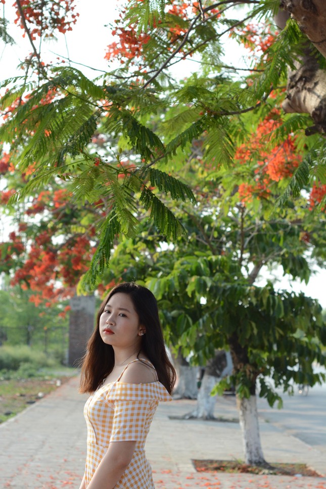 Rực rỡ con đường hoa phượng ở Hải Phòng: Chụp vội cũng có ảnh check-in tuyệt đẹp ảnh 4