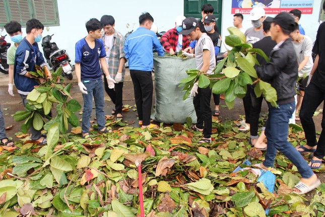 Bão đi qua, sinh viên hối hả dọn dẹp để trở lại giảng đường ảnh 3