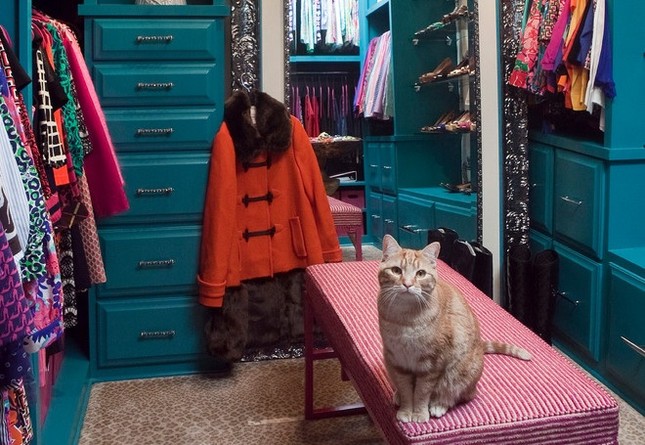 Không cần là tiểu thư đại gia, bạn cũng có thể sở hữu Phòng Thay Đồ “Walk-In Closet" ảnh 7