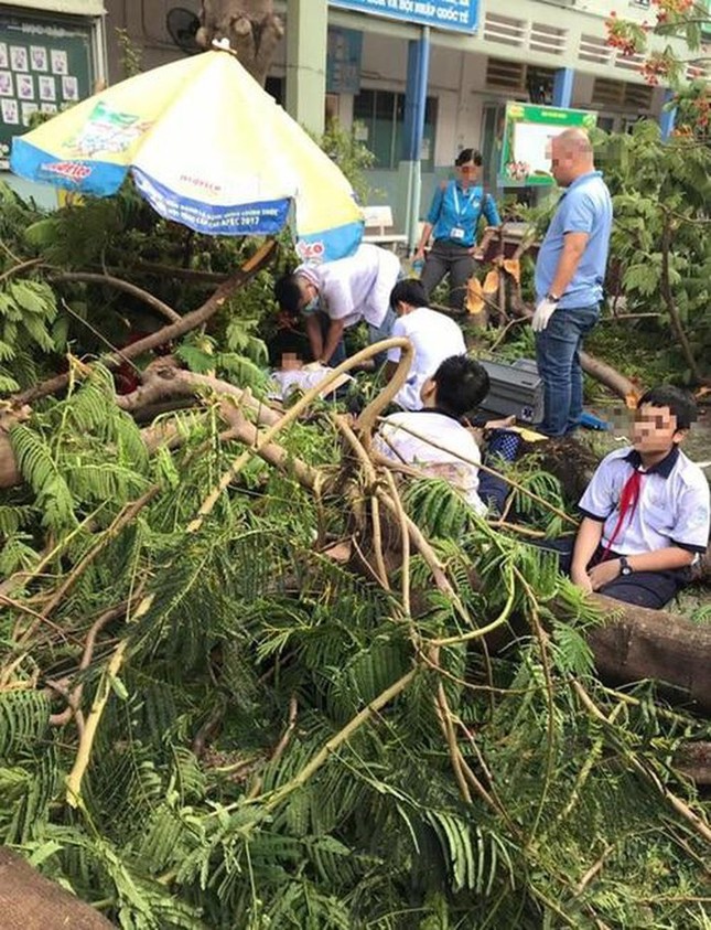 Sao Việt đau lòng lên tiếng sau vụ cây đổ khiến học sinh tử vong ảnh 2