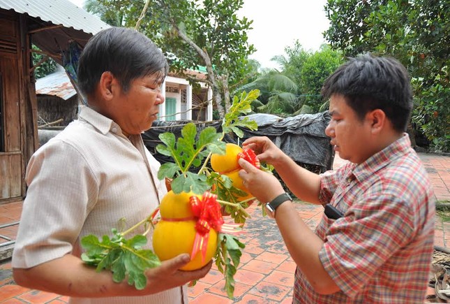Dưa hồ lô vàng rực phục vụ 'dân sành' chơi Tết ảnh 12
